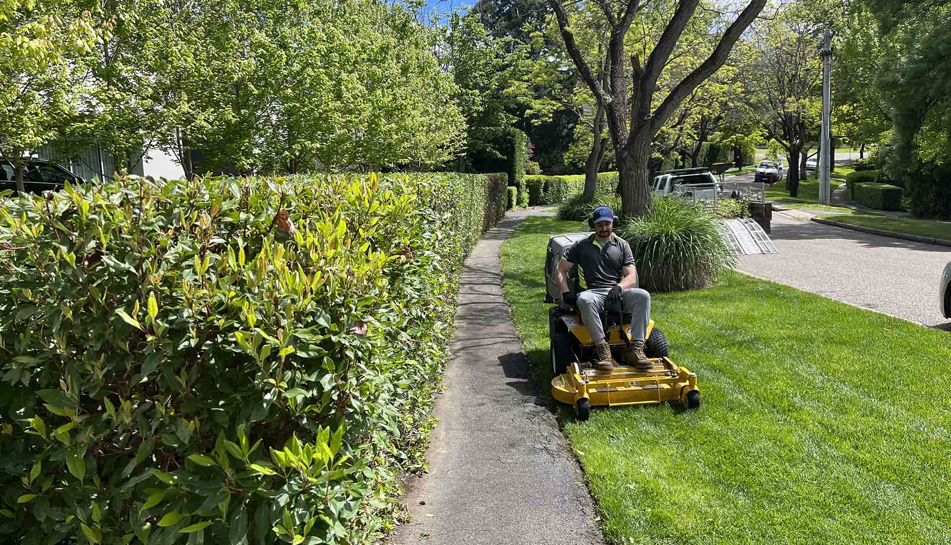 https://trendygardens.com.au/wp-content/uploads/2022/12/1920-110-4.jpg